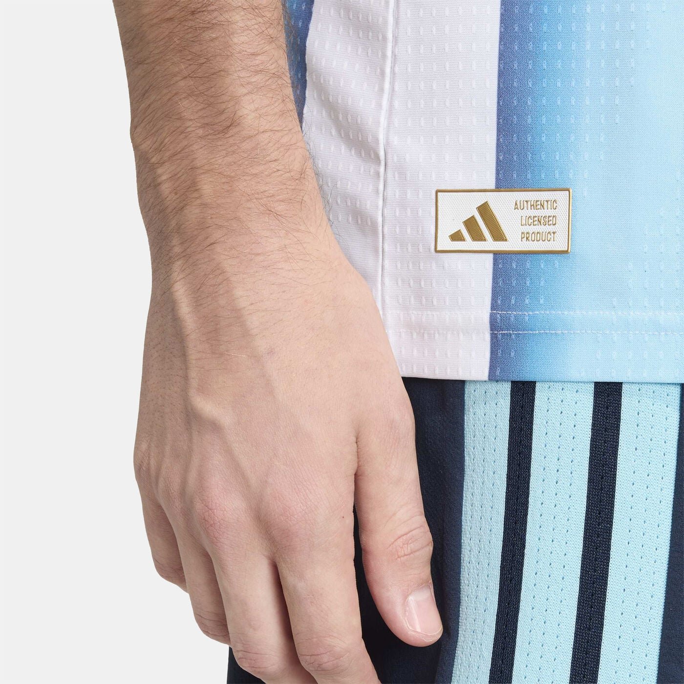 Argentina closeup